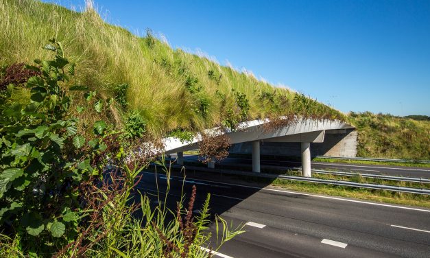 Nieuwe inzichten over de baten van groen in euro’s