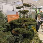 Twaalf kwekers lanceren collectief ‘We Love Conifers’