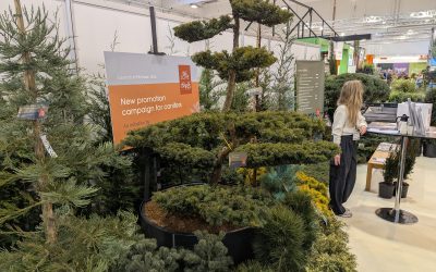 Twaalf kwekers lanceren collectief ‘We Love Conifers’