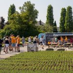 15e Open Kwekerijdag strijkt op 20 juni neer op Laag Boskoop