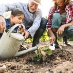 Groeiende interesse in groen, afnemende kennis