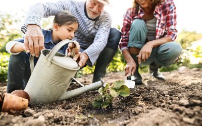 Groeiende interesse in groen, afnemende kennis