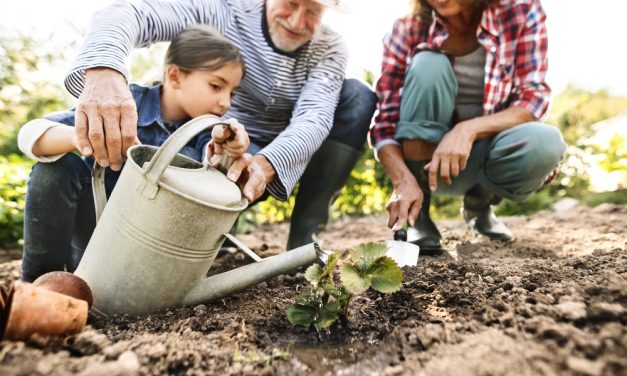 Groeiende interesse in groen, afnemende kennis