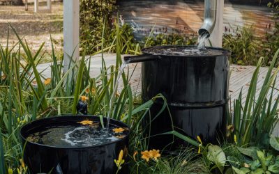 Bereidheid groeit, toepassing blijft achter bij regenwatergebruik