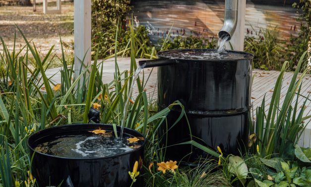 Bereidheid groeit, toepassing blijft achter bij regenwatergebruik