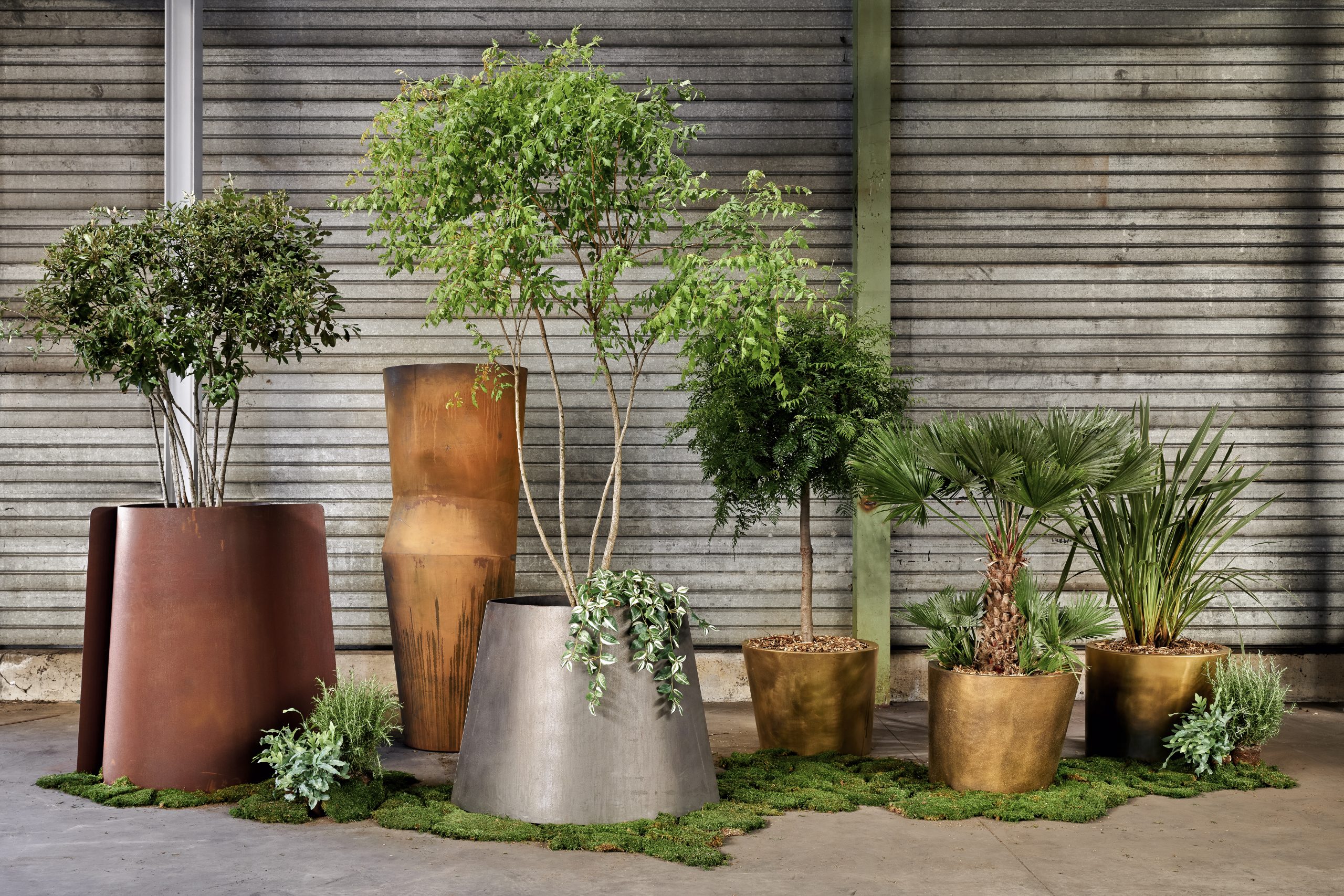fc8d-019e64e47eef79f29f88c3c8a5c5c35d architecturale plantenbakken